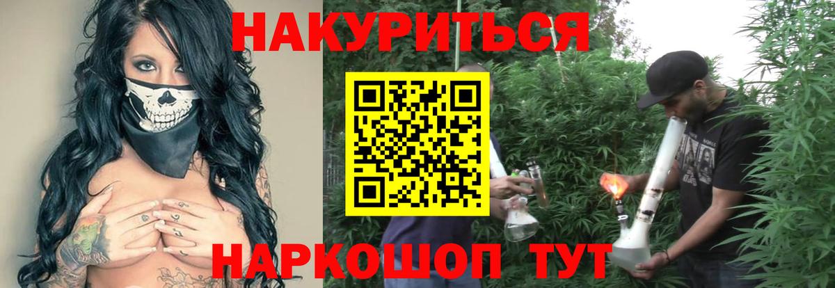 Марихуана план  Бошки марихуана сатива  Вход с VPN  Новотроицк  Бошки марихуана ГИДРОПОН  Канабис Ganja 
