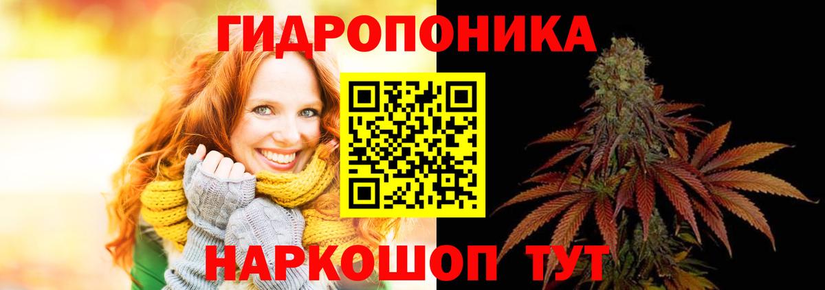 Бошки Шишки сатива Новотроицк